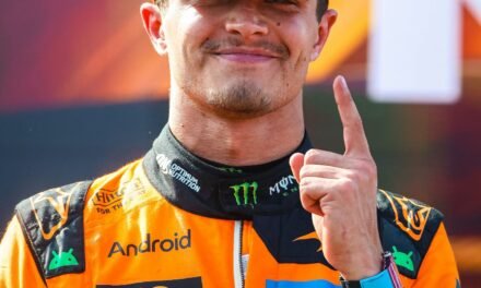 GP de Hungría, fin de la primera parte del calendario de la Formula 1, marcando el inicio del parón de verano.